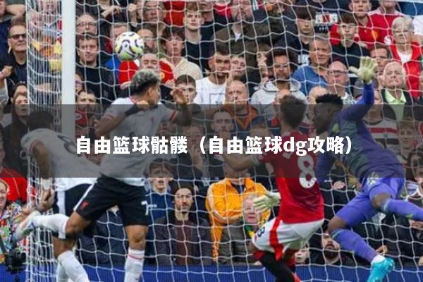 自由篮球骷髅（自由篮球dg攻略）