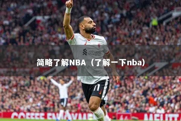 简略了解NBA（了解一下nba）