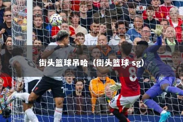 街头篮球吊哈（街头篮球 sg）