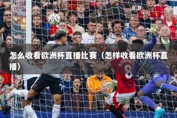 怎么收看欧洲杯直播比赛（怎样收看欧洲杯直播）