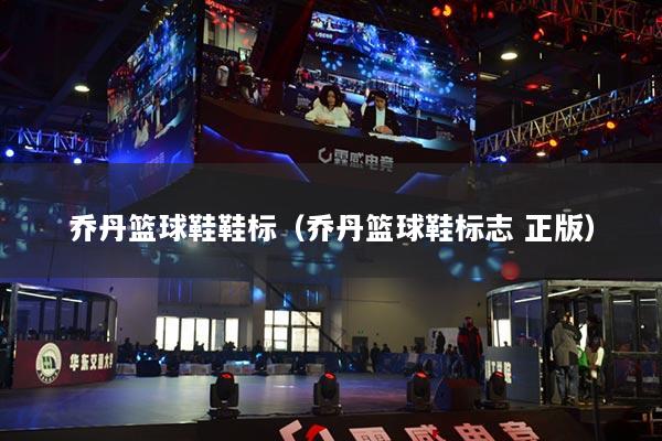 乔丹篮球鞋鞋标（乔丹篮球鞋标志 正版）