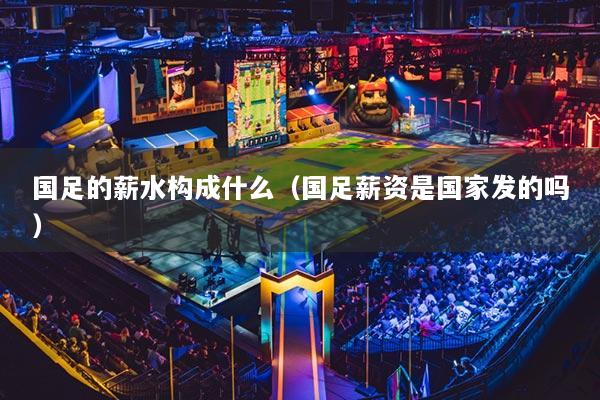 国足的薪水构成什么（国足薪资是国家发的吗）