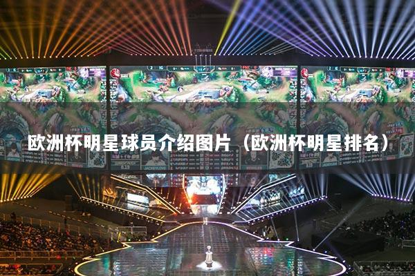 欧洲杯明星球员介绍图片（欧洲杯明星排名）