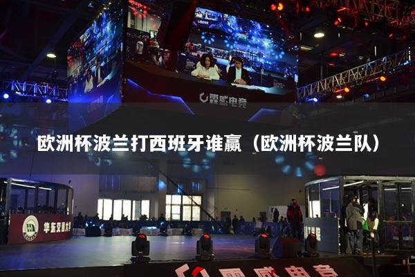 欧洲杯波兰打西班牙谁赢(欧洲杯波兰队)