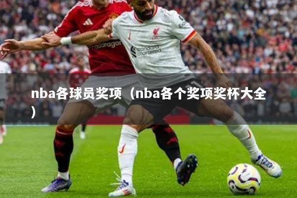 nba各球员奖项（nba各个奖项奖杯大全）