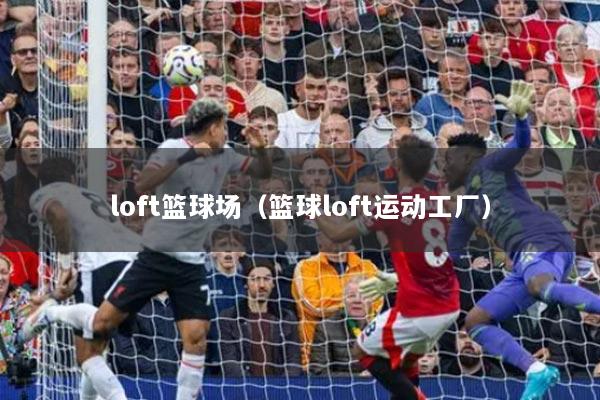 loft篮球场（篮球loft运动工厂）