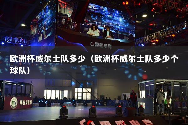 欧洲杯威尔士队多少（欧洲杯威尔士队多少个球队）