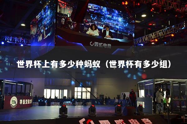 世界杯上有多少种蚂蚁（世界杯有多少组）