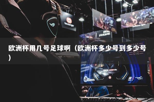 欧洲杯用几号足球啊（欧洲杯多少号到多少号）