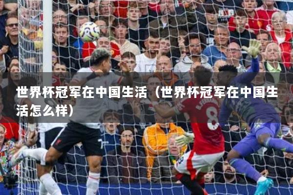 世界杯冠军在中国生活（世界杯冠军在中国生活怎么样）