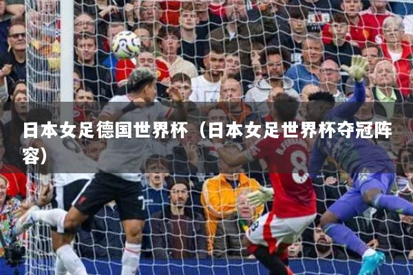 日本女足德国世界杯（日本女足世界杯夺冠阵容）