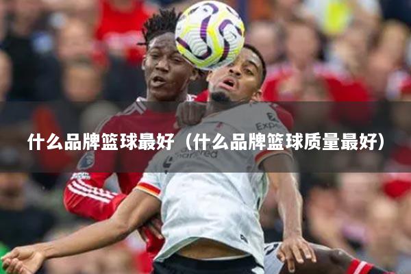 什么品牌篮球最好（什么品牌篮球质量最好）