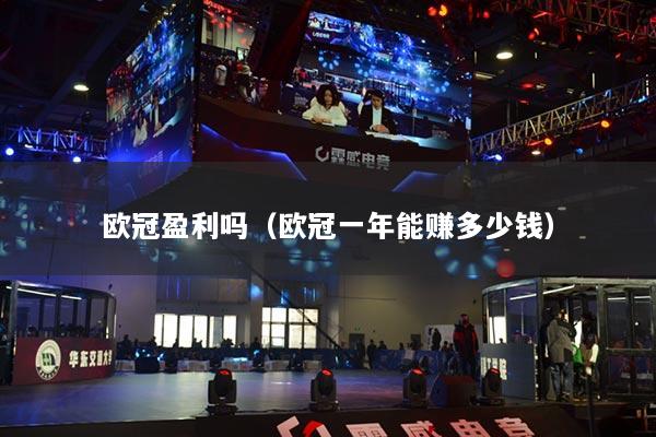 欧冠盈利吗(欧冠一年能赚多少钱)