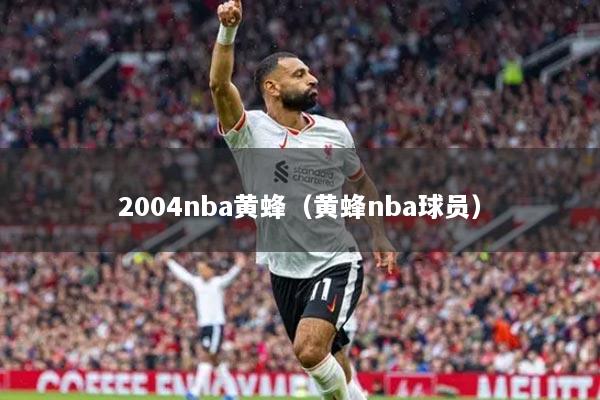 2004nba黄蜂(黄蜂nba球员)
