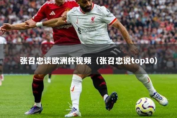 张召忠谈欧洲杯视频（张召忠说top10）